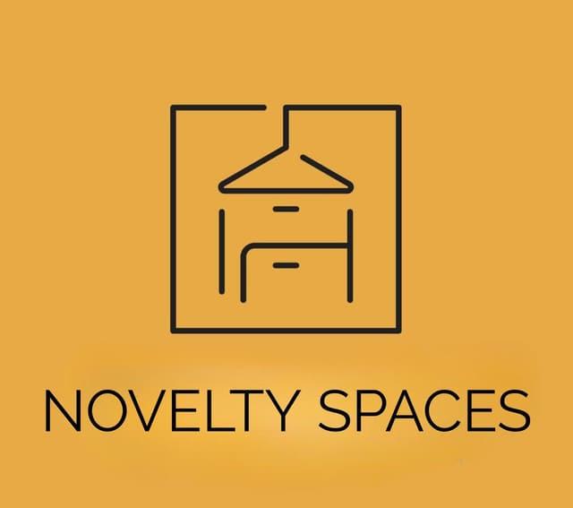 Novelty Spaces